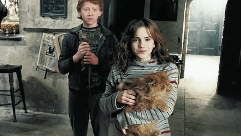 Harry Potter series theories